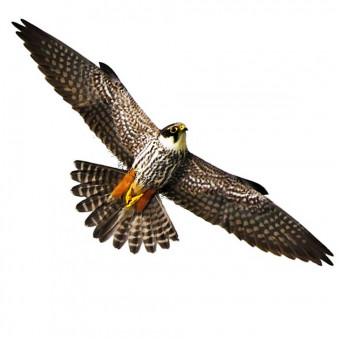 Визуальный отпугиватель птиц Хищник 2