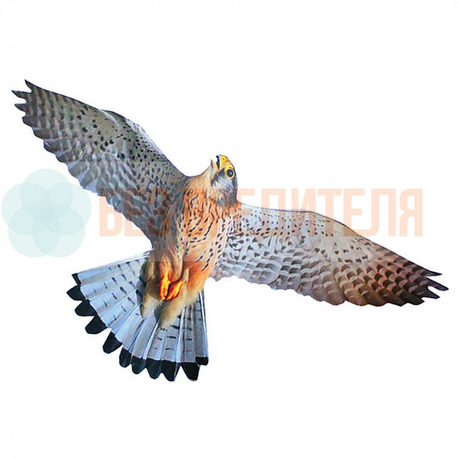 Визуальный отпугиватель птиц Хищник 3