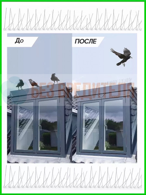 Шипы от птиц Jinshi (5 метров, 10 секций по 50 см)